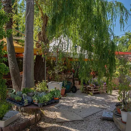 Ferme Saint-antoine - Eucalyptus Appartement *
