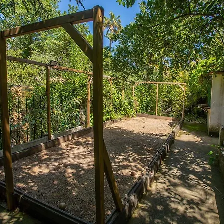 Ferme Saint-antoine - Eucalyptus *