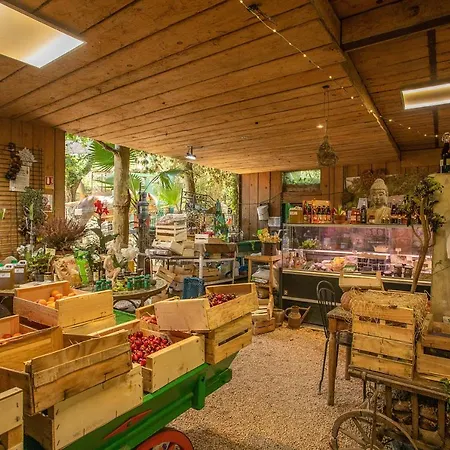 Ferme Saint-antoine - Eucalyptus Appartement Gassin