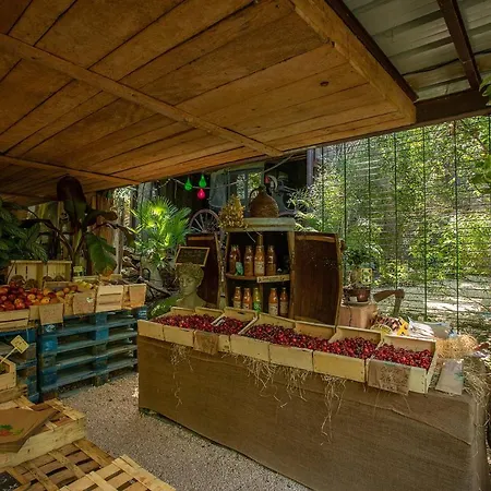 Appartement Ferme Saint-antoine - Eucalyptus